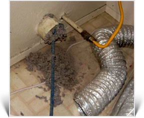 Carpet Steam Cleaning