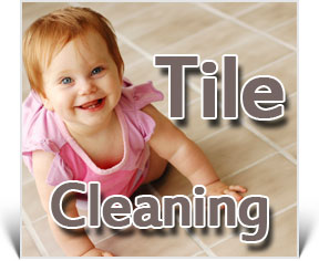 Tile Cleaning